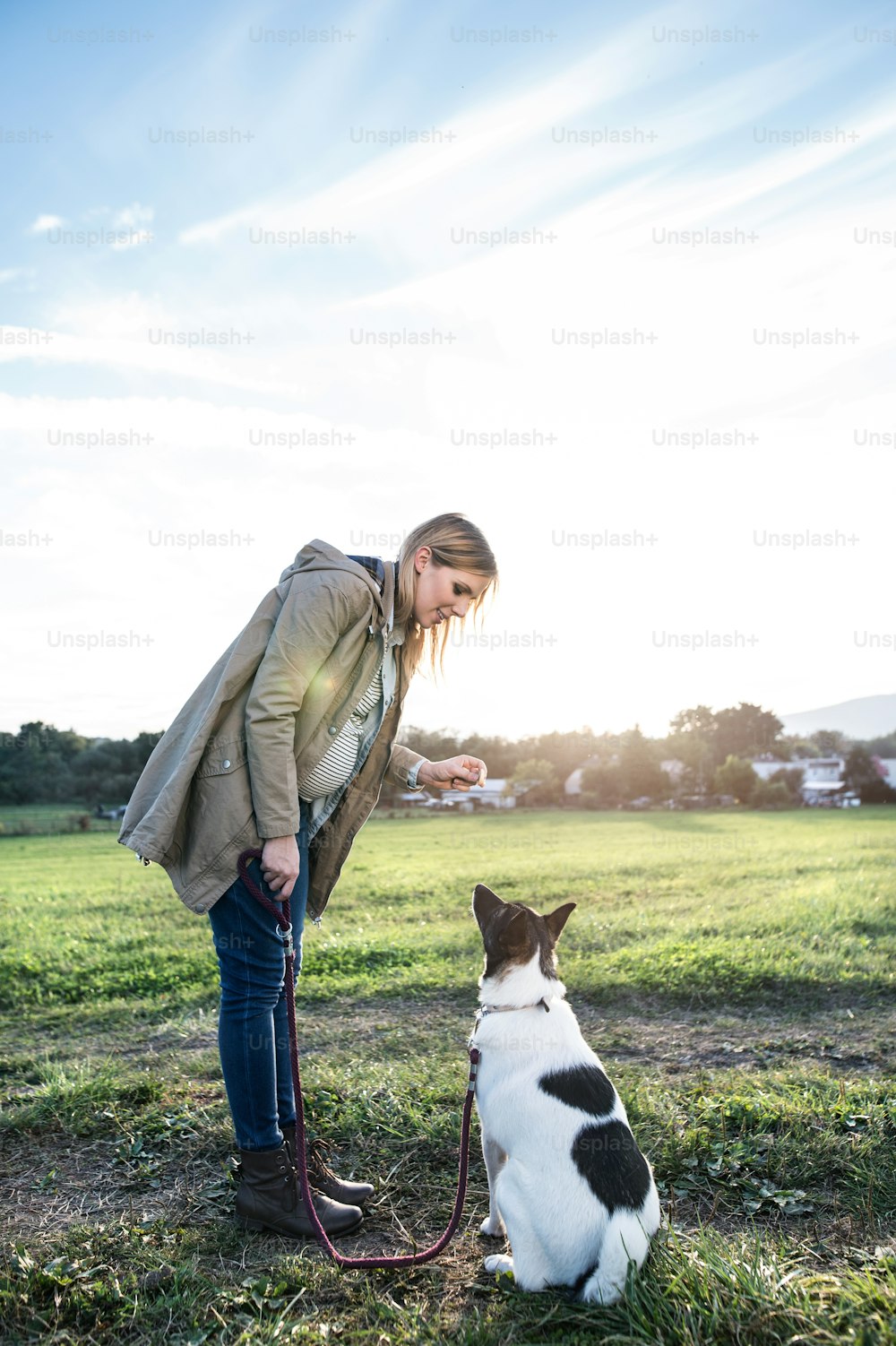 Beautiful young pregnant woman on a walk with a dog, feeding him. Green sunny nature