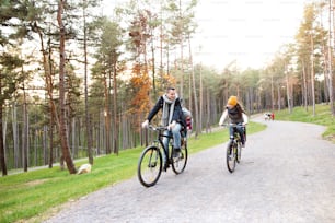 Beautiful young family with two daughters in bicycle seats in warm clothes cycling outside in autumn nature