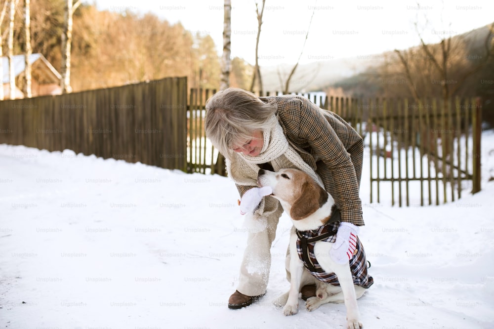 Bella donna anziana durante una passeggiata con il suo cane nella natura soleggiata dell'inverno.