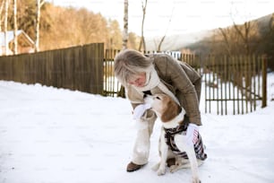 Beautiful senior woman on a walk with her dog in sunny winter nature.