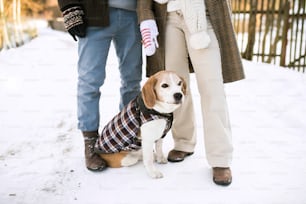 Unkenntliche ältere Frau und Mann bei einem Spaziergang mit ihrem Hund in sonniger Winternatur.