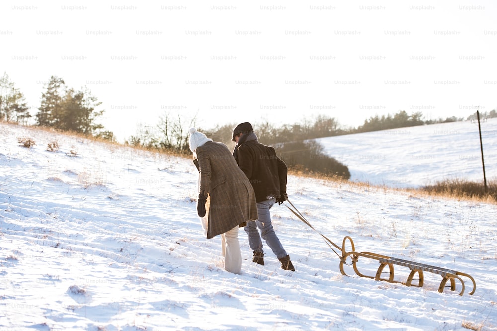Beautiful senior woman and man on a walk in sunny winter nature, pulling sledge up the hill. Rear view.