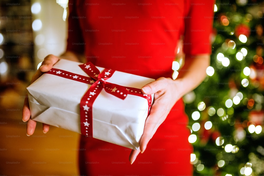 크리스마스 선물을 들고 있는 그녀의 집 안에 있는 조명이 켜진 크리스마스 트리 앞에서 빨간 드레스를 입은 알아볼 수 없는 젊은 여성.