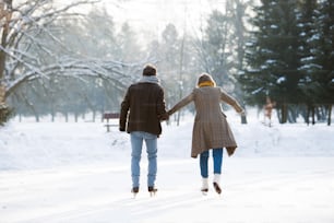 Beautiful senior woman and man in sunny winter nature ice skating, rear view.