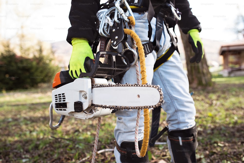 Unrecognizable lumberjack with harness and chainsaw prepared for pruning a tree. A tree surgeon, arborist going to climb a tree in order to reduce and cut his branches.