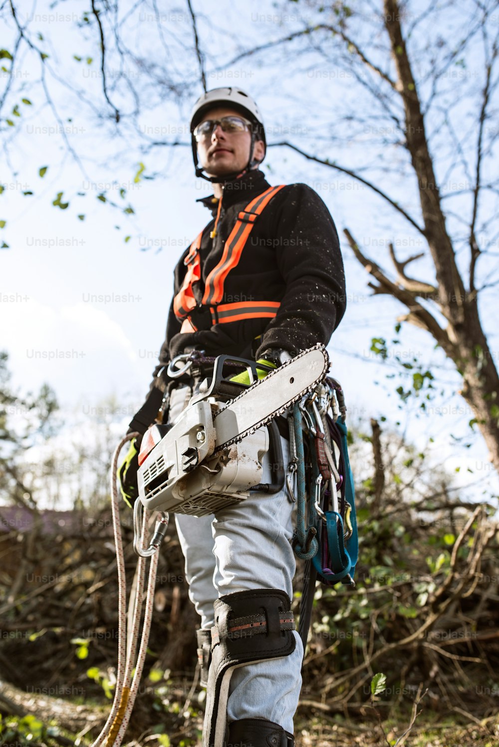 Lumberjack with chainsaw and harness prepared for pruning a tree. A tree surgeon, arborist going to climb a tree in order to reduce and cut his branches.