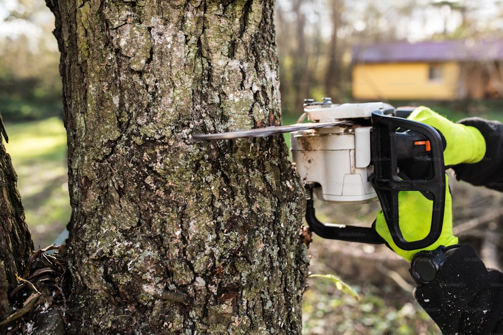 Primo piano. Mani di boscaiolo irriconoscibile con motosega che taglia un albero.