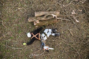 Injured lumberjack with chainsaw and harness lying on the ground after falling from the tree.