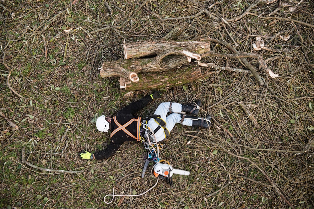 Injured lumberjack with chainsaw and harness lying on the ground after falling from the tree.