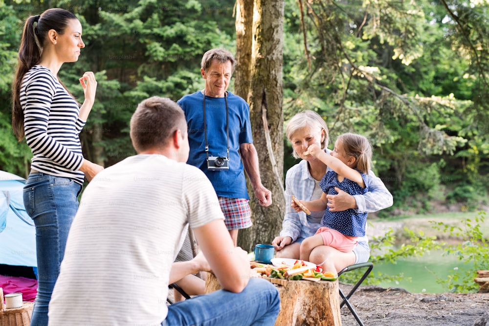 Beautiful family enjoying camping holiday in forest. Barbecue with drinks and food.