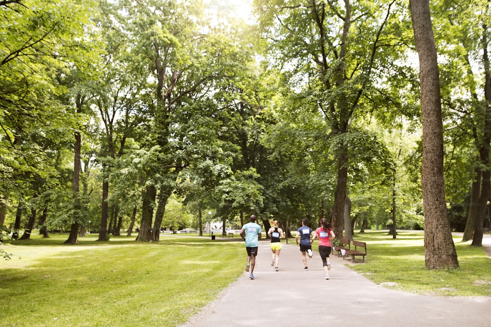 Grupo de jovens atletas correndo no parque de verão verde ensolarado. Vista traseira.
