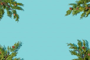 a blue background with pine branches and cones