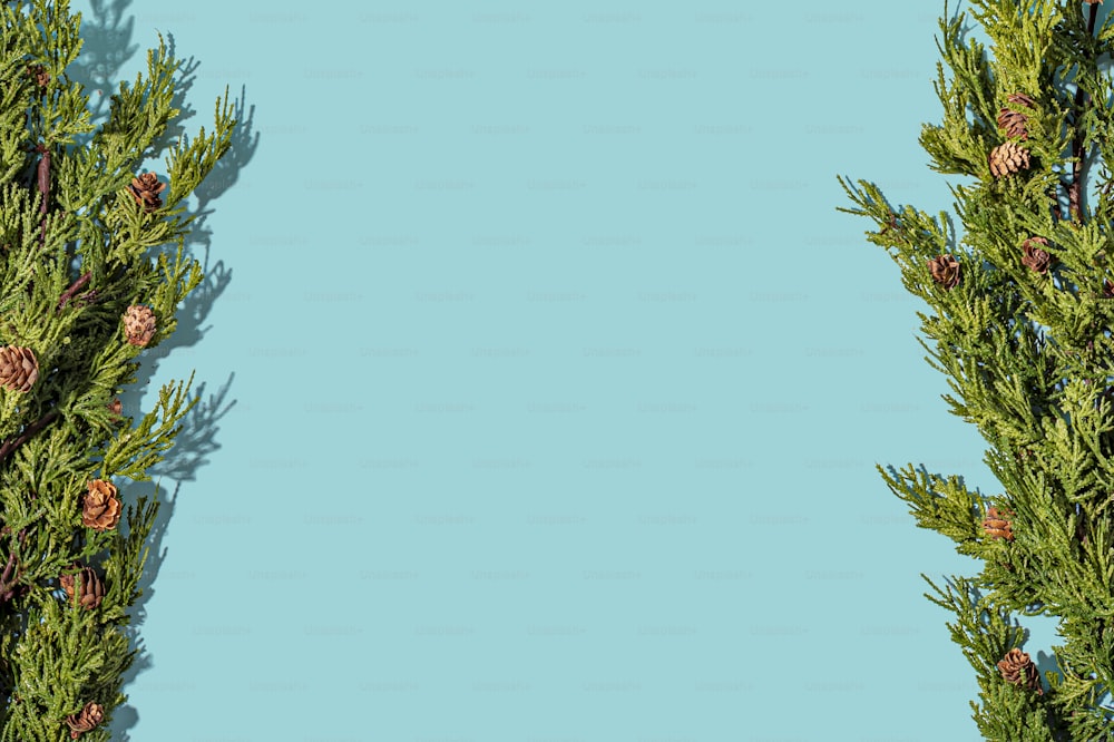 a blue background with pine cones and branches