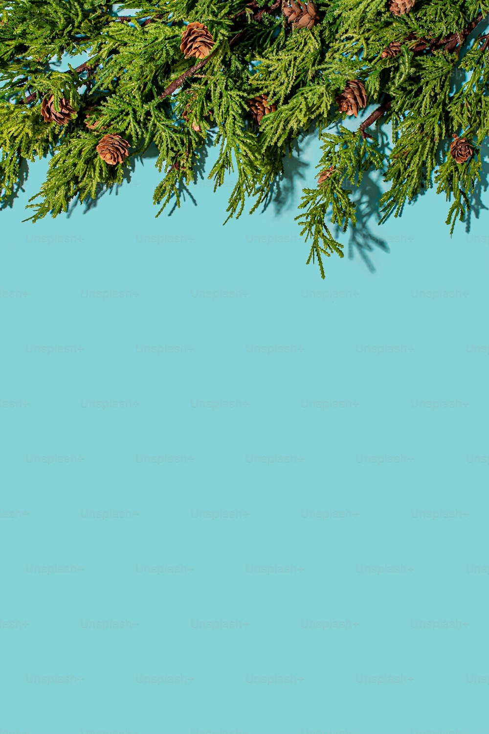 ein blauer Hintergrund mit Tannenzapfen und Zweigen