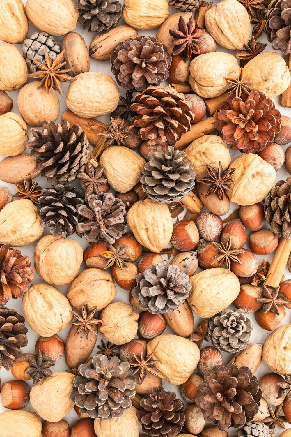 a bunch of pine cones and acorns on a table