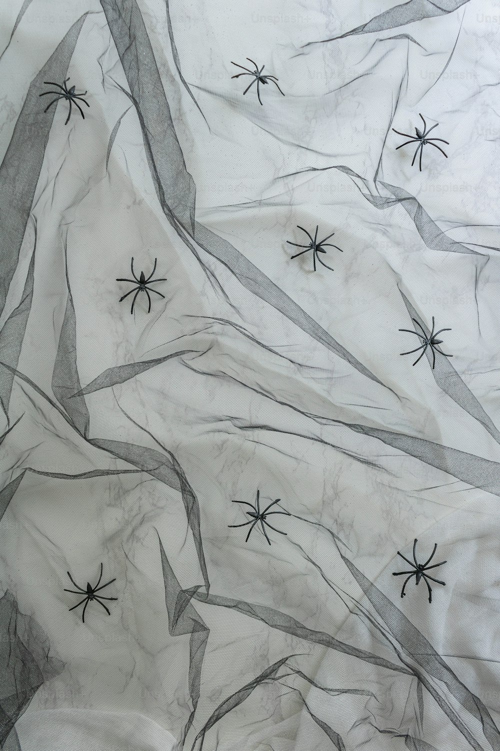 Un dessin en noir et blanc de toiles d’araignées