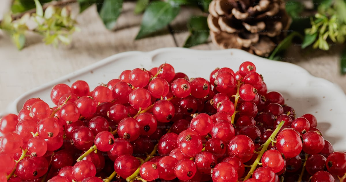 Une assiette blanche garnie de beaucoup de fruits rouges photo ...