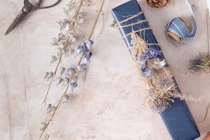 a table topped with a blue book and a pair of scissors