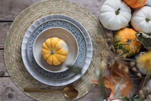 un plato con una pequeña calabaza