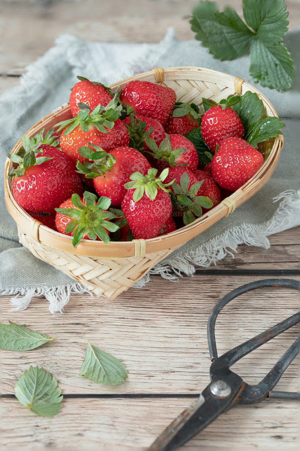 a basket full of strawberries next to a pair of scissors