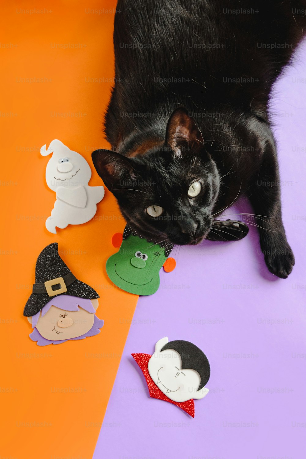 a black cat laying on top of a purple and orange table