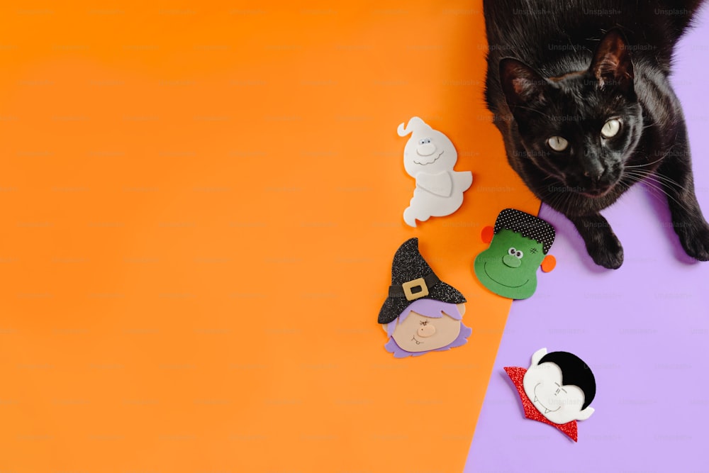 Eine schwarze Katze, die auf einer lila-orangefarbenen Oberfläche liegt