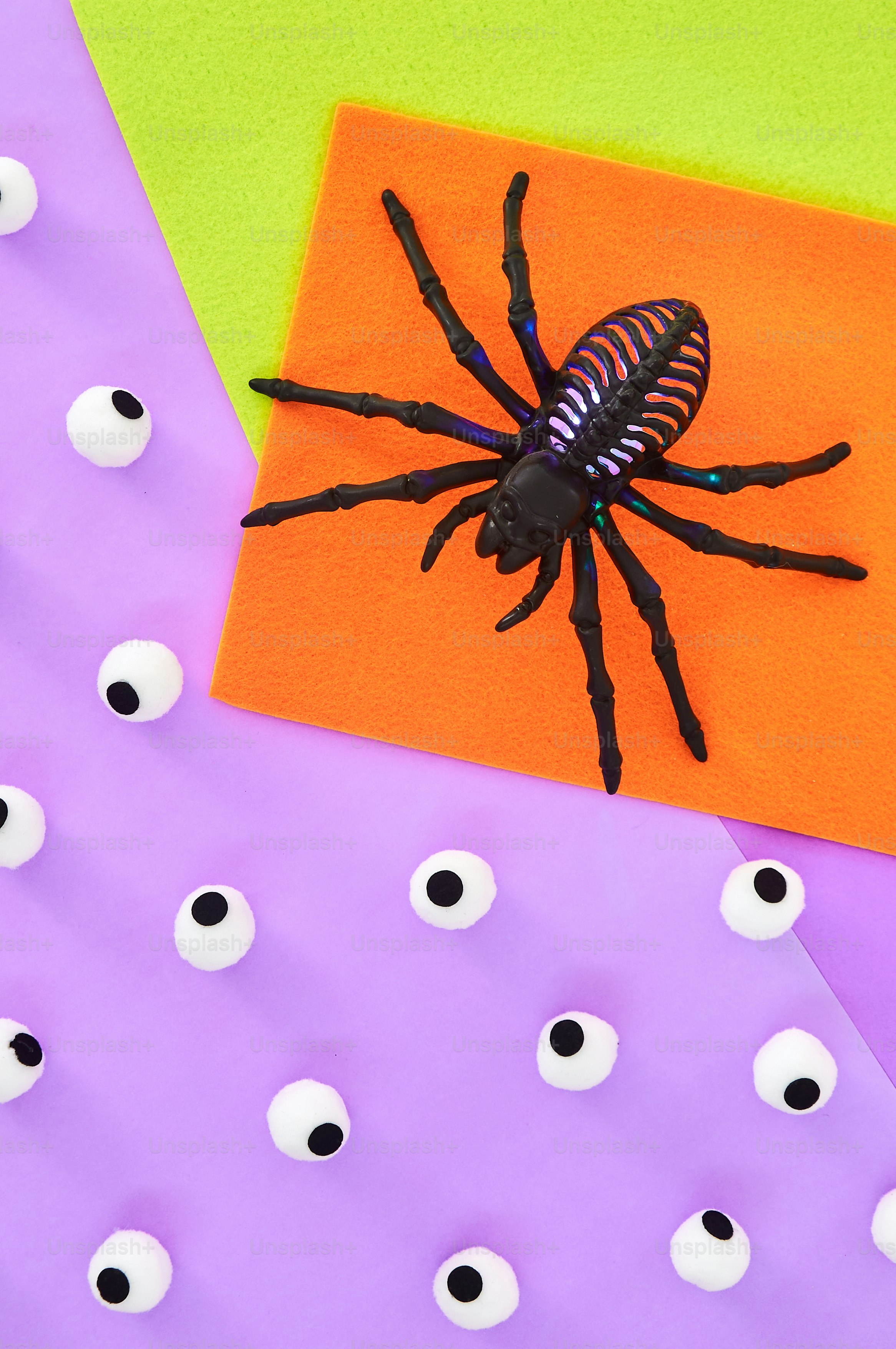 Cryptic Coloration Spider Pictures | Download Free Images on Unsplash