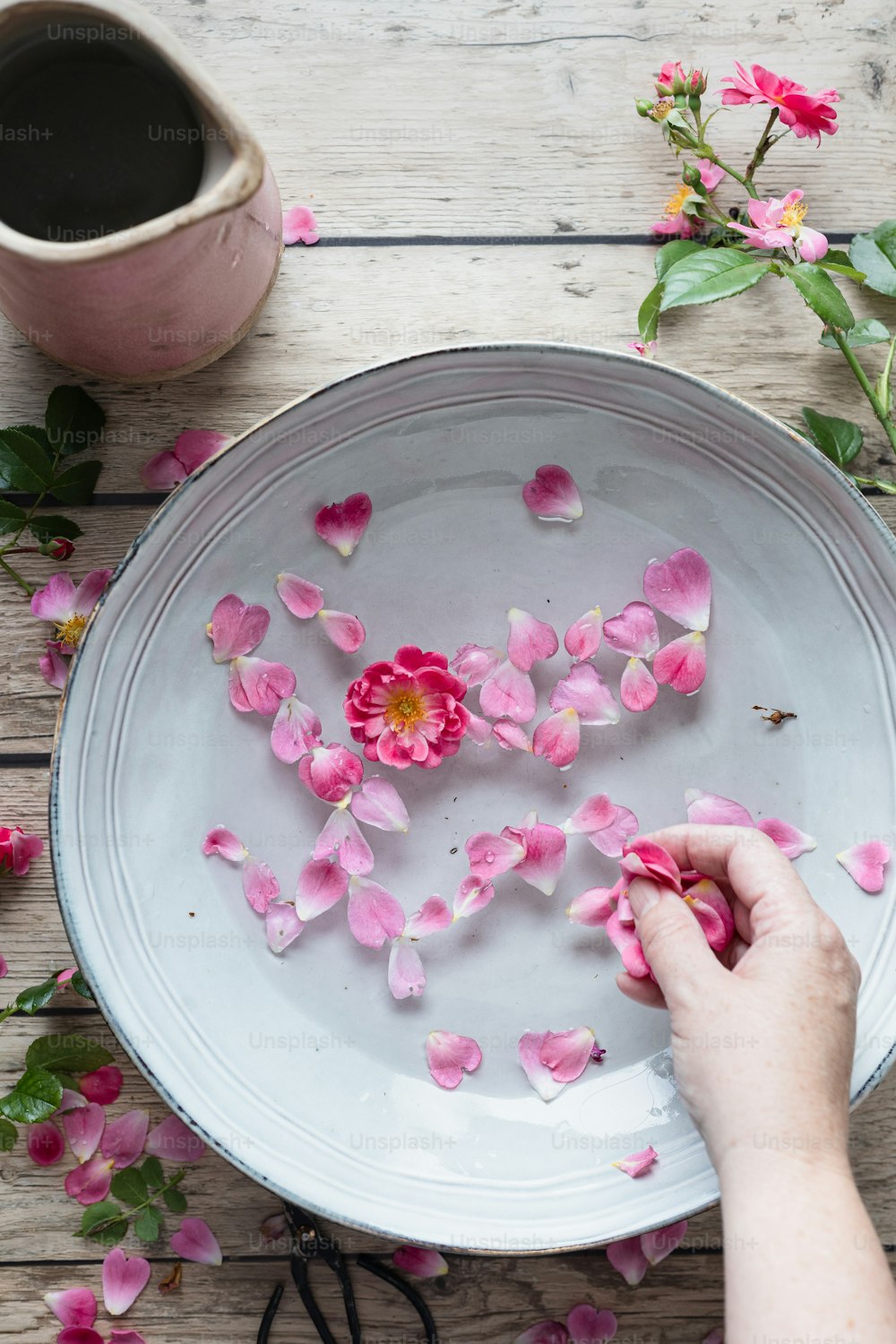 une personne dispose des fleurs roses sur une assiette blanche