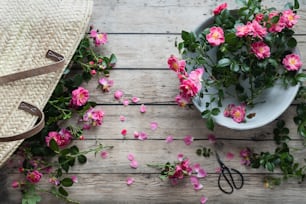 a basket of pink flowers next to a pair of scissors