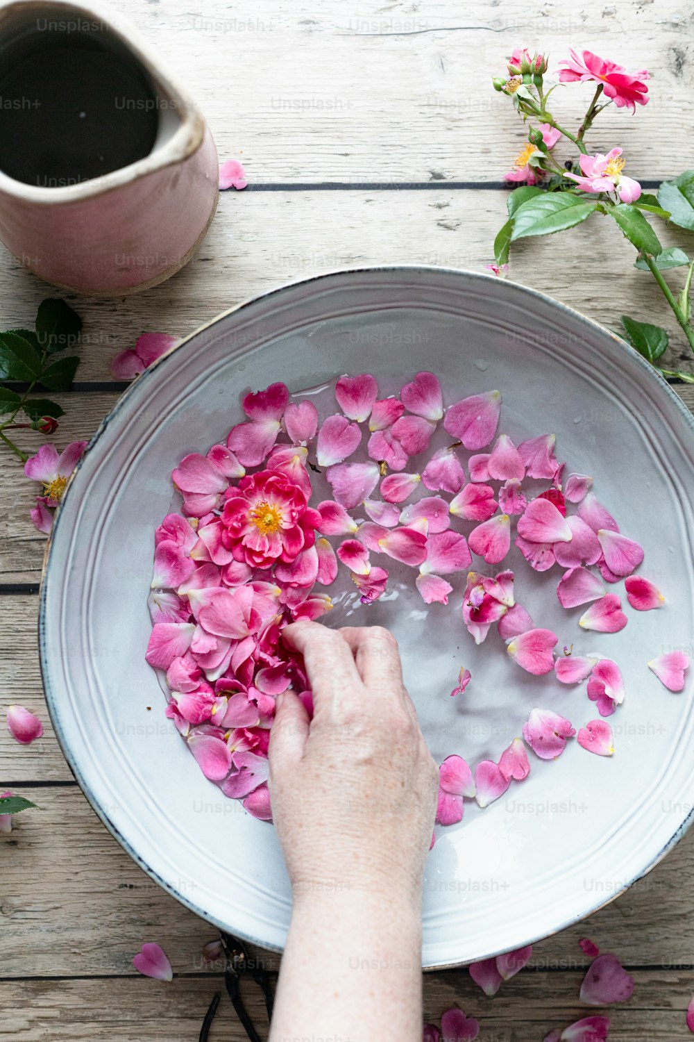 una ciotola d'acqua con fiori rosa che galleggiano in essa