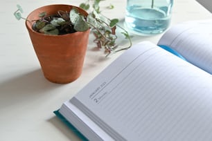 a book and a potted plant on a table