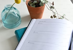 an open book sitting on top of a table next to a potted plant