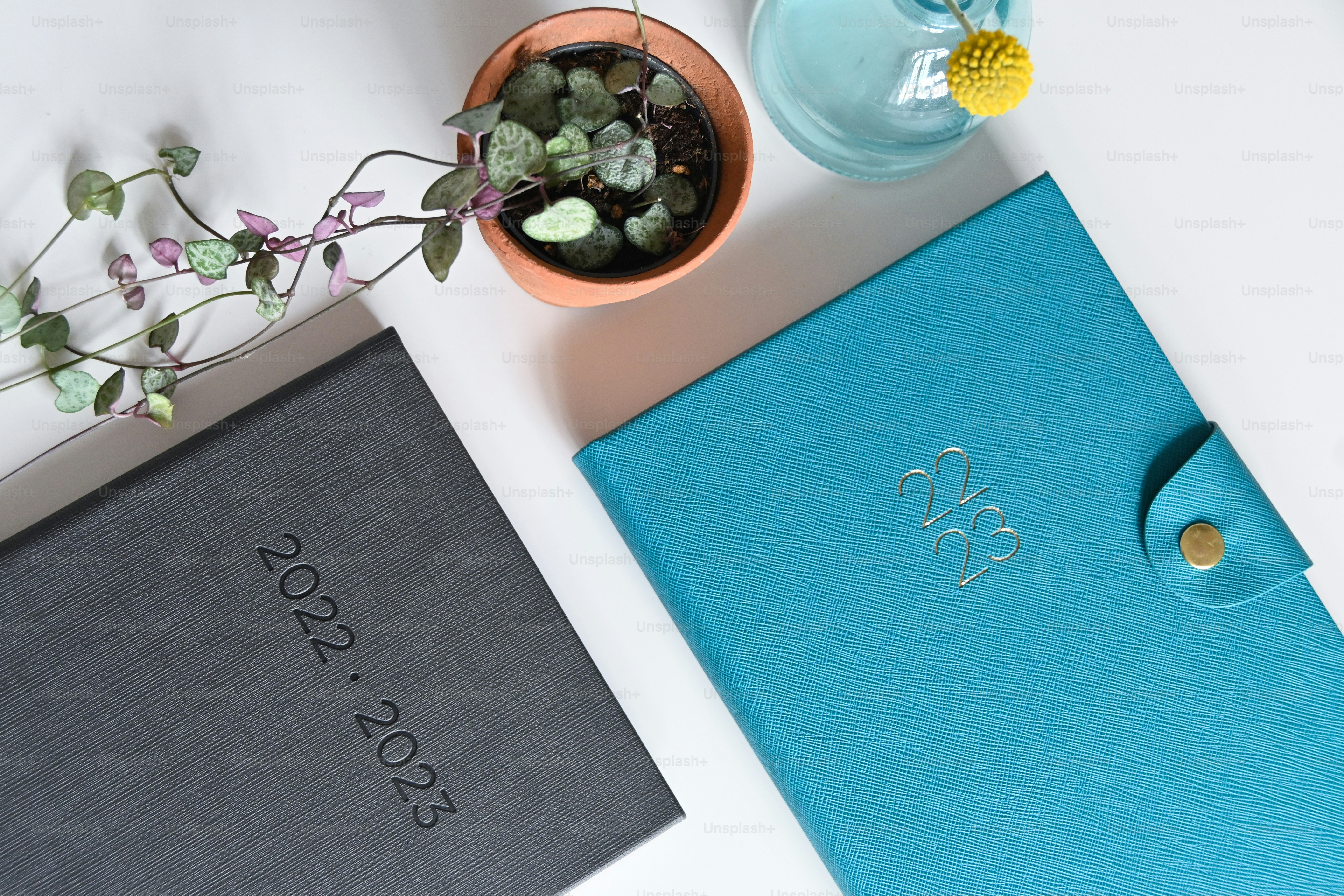 Ein blaues Notizbuch, das neben einer Topfpflanze sitzt