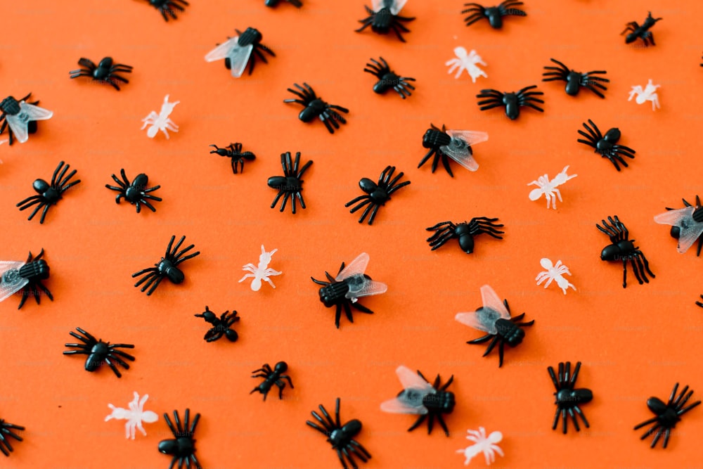 a bunch of small black and white bugs on an orange background