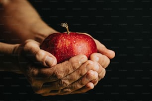 a person holding an apple in their hands