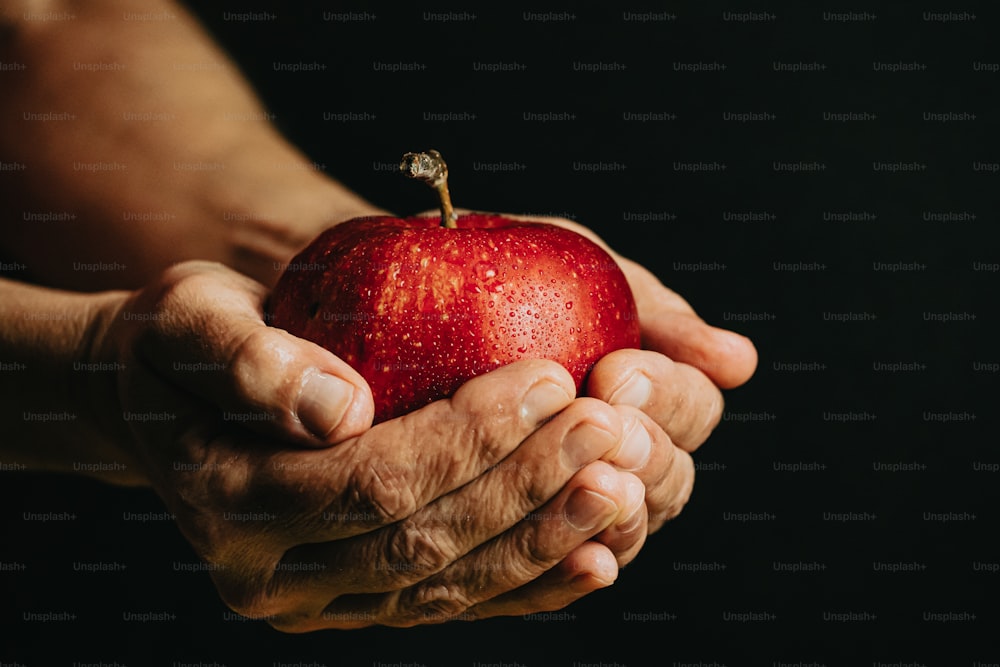 uma pessoa segurando uma maçã nas mãos
