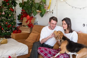 a man and woman sitting on a couch with a dog