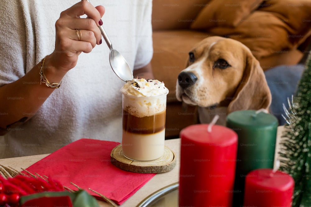 uma pessoa comendo uma sobremesa com um cachorro ao fundo