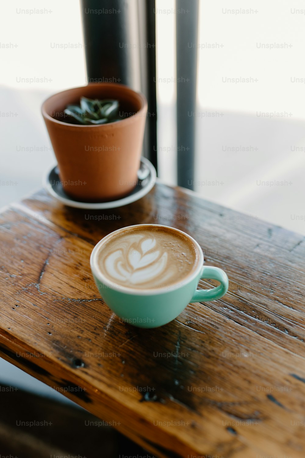 Green Coffee Pictures  Download Free Images on Unsplash