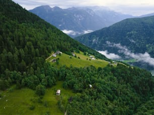 Una collina verde lussureggiante coperta di alberi verdi lussureggianti