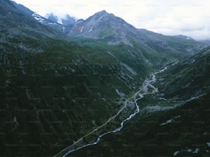 a river running through a lush green valley