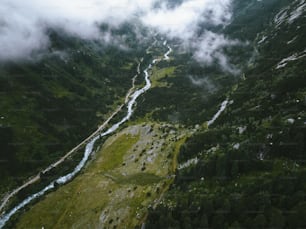 무성한 녹색 계곡을 흐르는 강