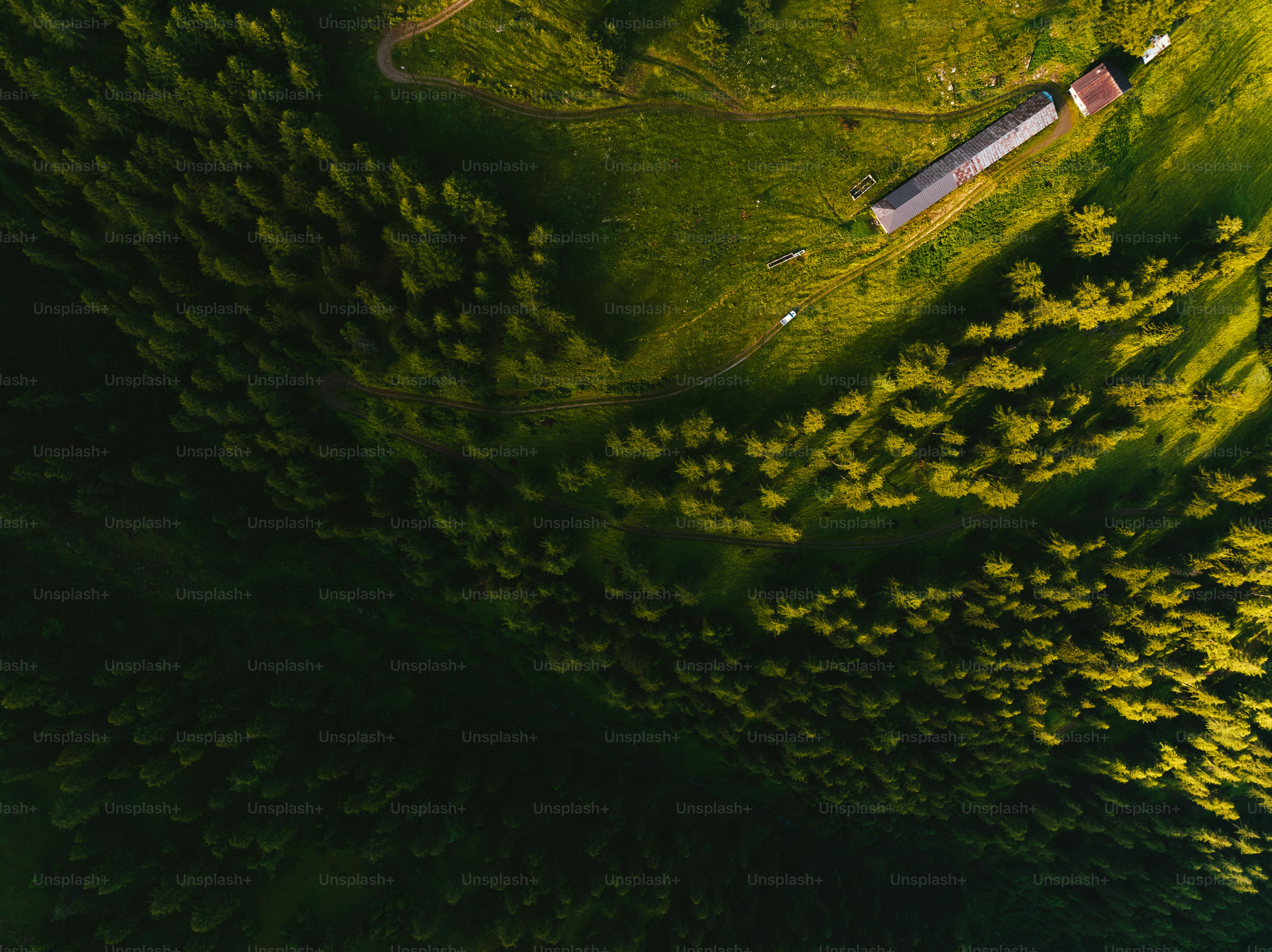 An aerial view of a house in the middle of a forest photo – Trees Image ...
