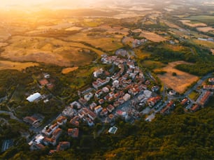 an aerial view of a small town surrounded by trees