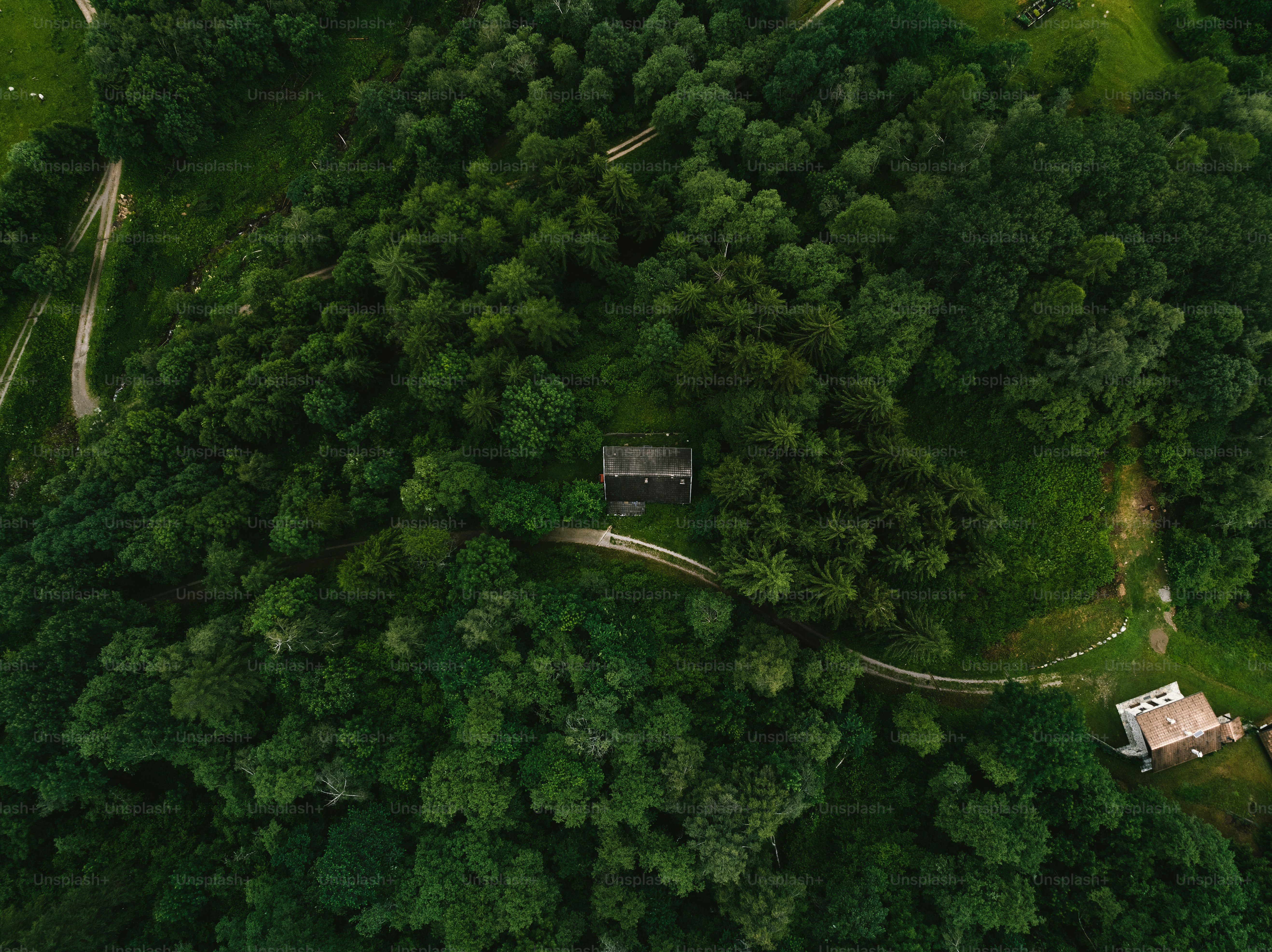Una vista aérea de una casa en medio de un bosque