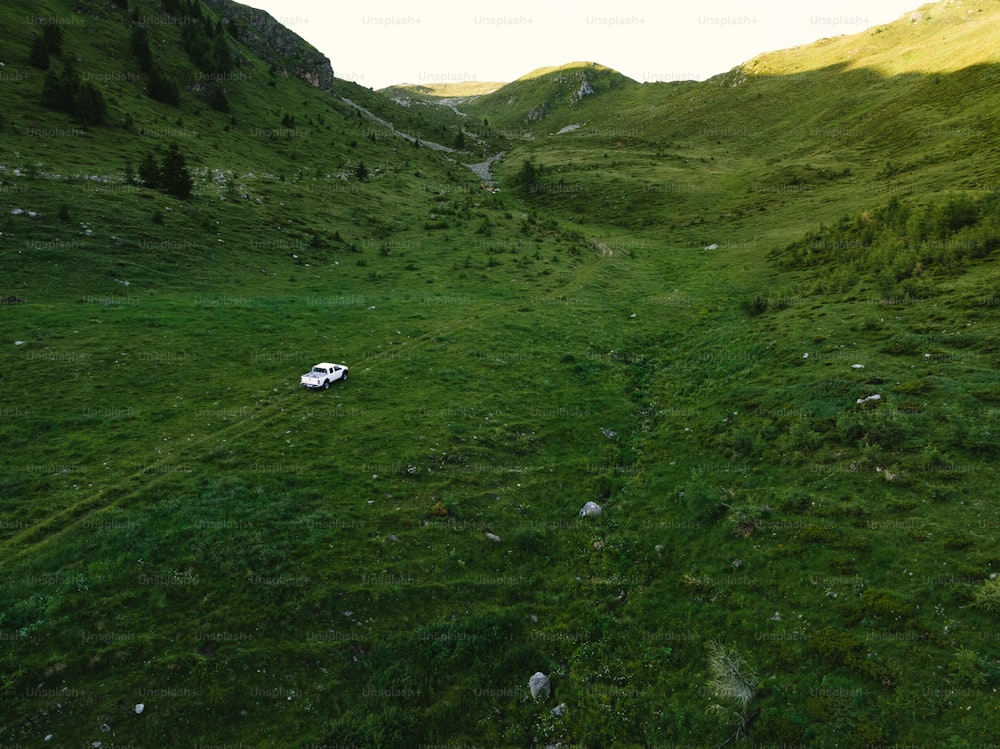 a car is parked in a grassy field