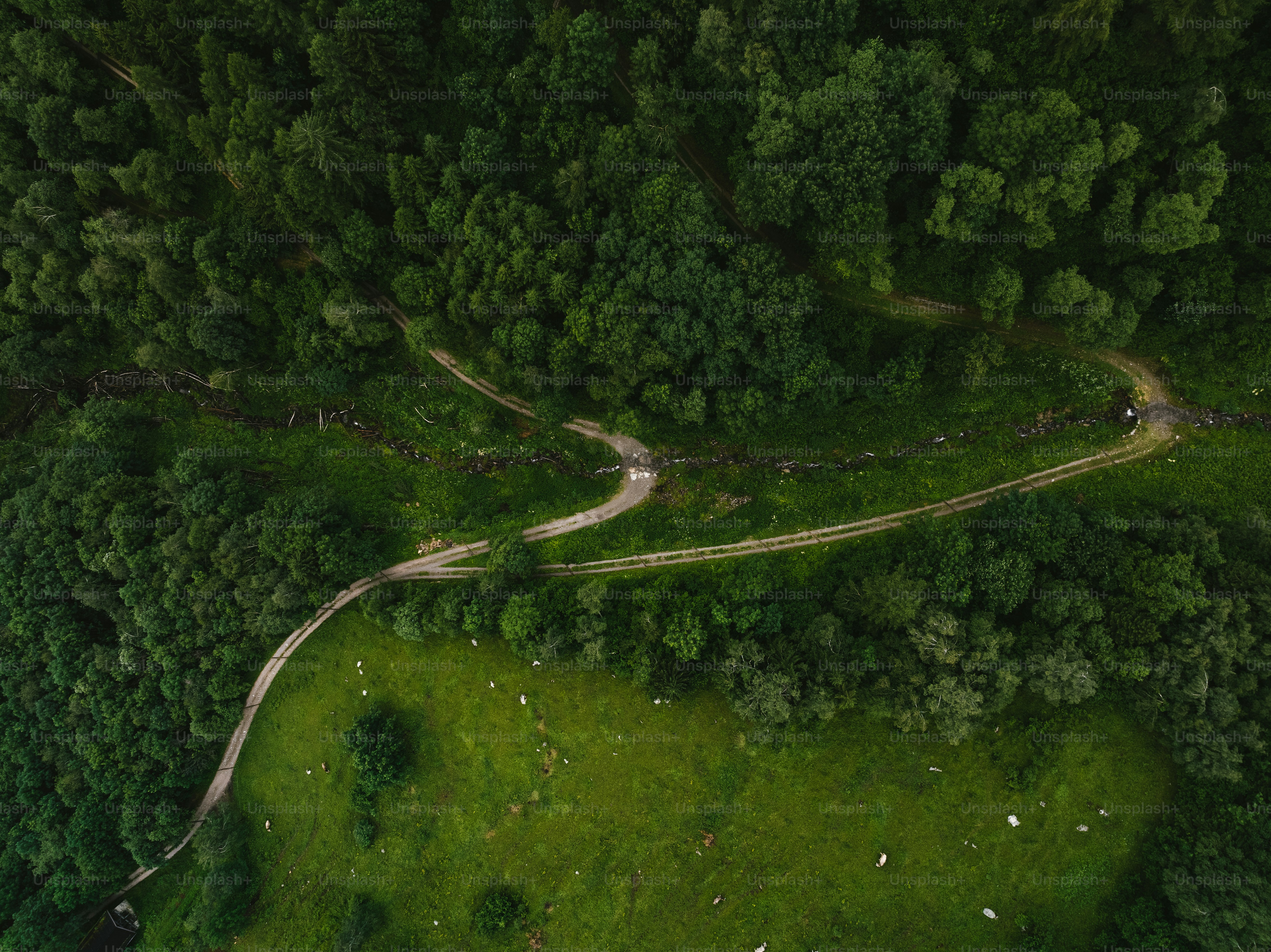 an aerial view of a road winding through a lush green forest