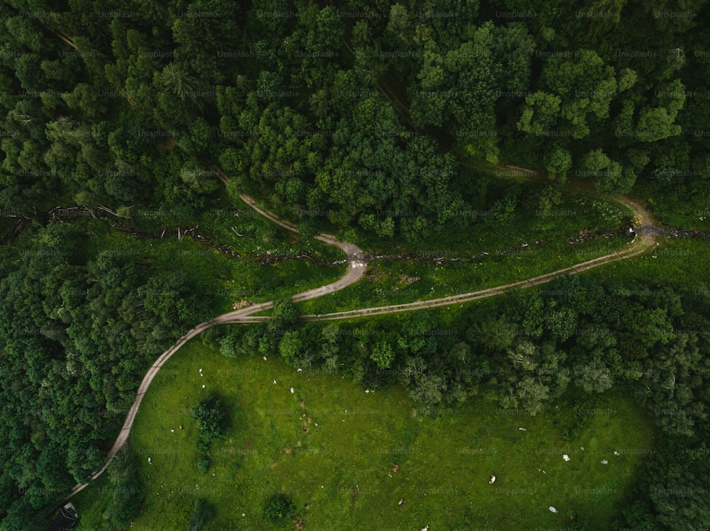 an aerial view of a road winding through a lush green forest