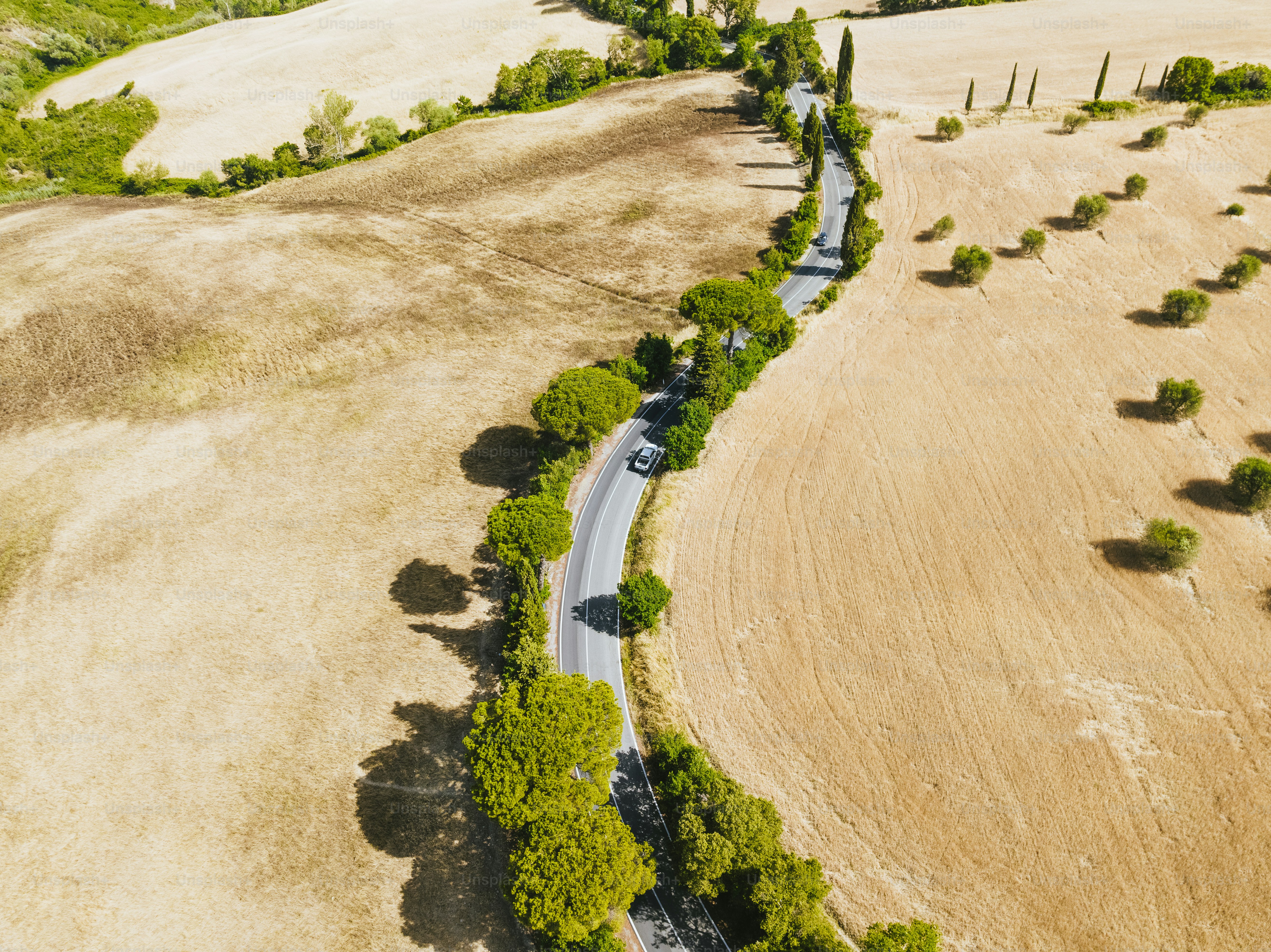 Una vista aérea de un camino rural en medio de un campo