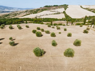 an aerial view of a field with trees and hills in the background